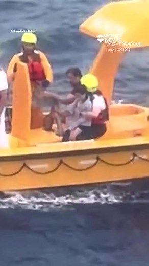 Heroic Father Saves Daughter from Disney Cruise Incident