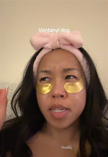 Understanding Dog Behavior Through Repeated Experiences