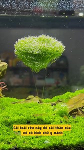 #NatureBox | Nature Box