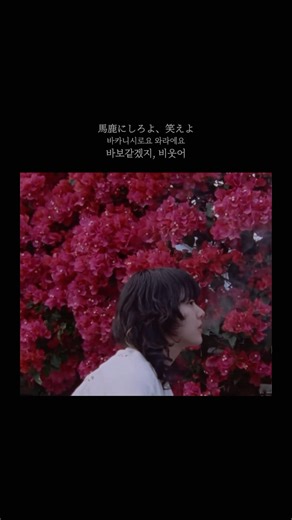 🧶NEKO - AIMYON🥁LIVE #아이묭 #猫 #ドラム