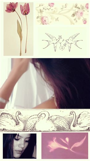 pov you’re my bathroom mirror lol #fyp #swan #fashion #collage