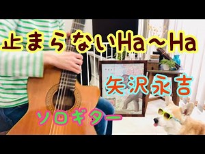 止まらないHa〜Ha / 矢沢永吉 ソロギター