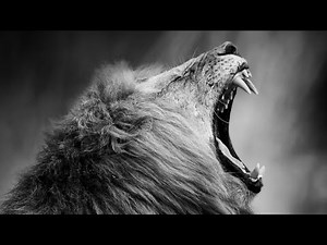 The Story Of Camping Teaser Trailer Plotagon Version￼