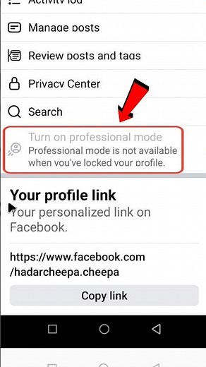 Professional mode is not available when you've locked your profile