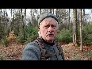 Tips on Backtracking Buck Rubs to Bedding