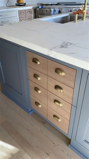 Sarah Robertson | Studio Dearborn | Kitchen Design on Instagram: "Sometimes the icing on the cake is the appliance panels. It can be fun to hide these guys but even more fun to show them off. These were made to match 3 other cabinets in the kitchen with an apothecary look. All the cabinets were framed in this kitchen so these drawers needed that look too. The drawers are a nice “overflow” release for the main refrigerator, and are just used as drinks drawers within easy reach of the kids. #kitch