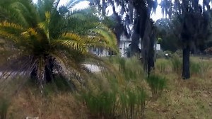 Peaceful abandoned house (Hudson, FL)