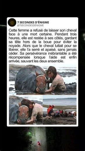 L’histoire héroïque d’une femme qui sauva son cheval de la noyade