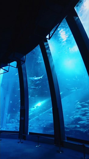 八景島シーパラダイスの魅力を探る