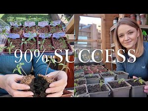 90% Tomato Germination?! 🍅 Pricking Out & Potting Up Seedlings (Beginner Guide)