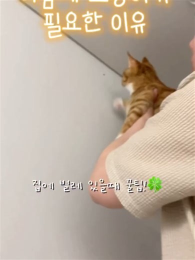 The Ultimate Guide to cutting-edge technology for Beginners #Smart_Tech