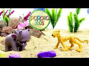 Leopard wants to find friends