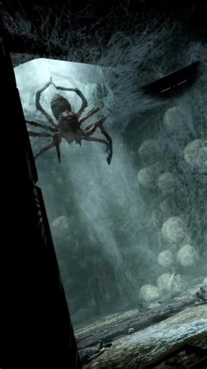Exploring Skyrim: Camouflage Hunter and Spider Encounters