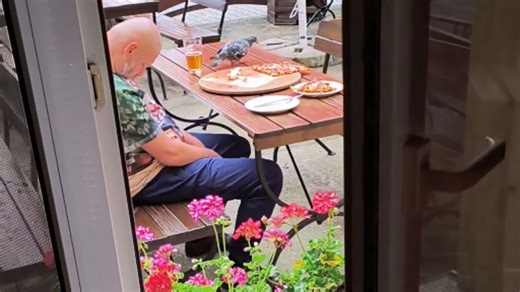 Drunk man dozes off and loses his pizza to a hungry pigeon
