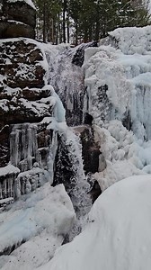 Debra McCown on Reels