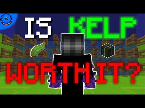 Are Kelp Farms The Future On The DonutSMP?