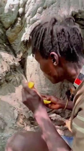 baobad adalah pohon kehidupan suku hadzabe tanzania #africa #budaya #traditinal #facts #tradisi