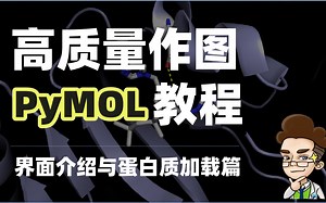 2.【PyMOL精品教程】界面介绍与蛋白质加载篇