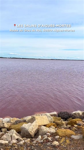 France is home to a naturally pink lake! 🩷 Let's go for a visit with Lou and see what you can find here. Hint: South of France weather, flamingoes, and lots of salt! ☀️🦩🧂 #ExploreFrance | Explore France