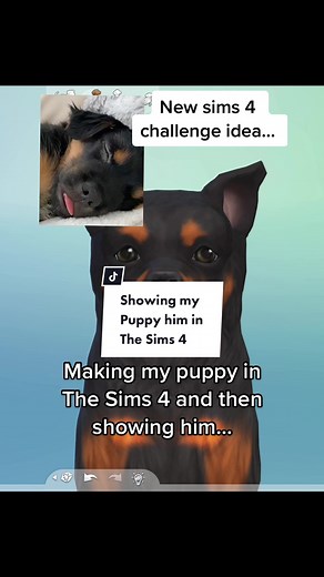 Making my puppy in The sims 4 and then getting his approval✨ #thesims4 #glimmersimmer #puppy #dogsoftiktok #dog #sims4 #sims #thesims #sims4challenge #sims4cc #sims4pets #sims4mods #sims4build #sims4tok #sims4tutorial #sims4story #sims4cas #sims4caschallenge #sims4casideas #thesims4mods #thesims4cc #thesims4tutorial #thesims4thingzz #thesims4build #thesims4cas #thesims4challenge #simschallenge #simscaschallenge #simsselves #simstok #simstagram #thesimschallenge #fypシ #foryoupage #fyp