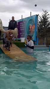 POOL PARTY!! | Canine Dip and Dive Maldon