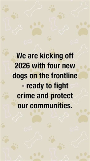 South Yorkshire Police on Instagram: "The new year brings new paws on patrol across South Yorkshire 🐶 We are kicking off 2026 with four new dogs on the frontline — ready to fight crime and protect our communities. The new ‘paw patrol’ are the latest dogs and handlers to pass through the South Yorkshire Police Dog Training School, after being put through their paces, during a 13-week course. PDs Zeke, Pablo, Riggs and Maverick are all Belgian Malinois, aged between two and three, and are at the