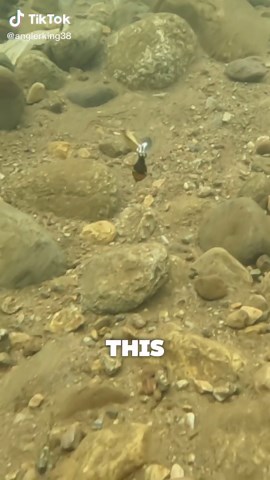 Ultimate Fish Finder: Best Tools for Your Fishing Adventures