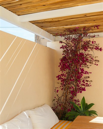 Mojo.tonnelle on Instagram: "Quand l’installer, comment anticiper, quelles erreurs éviter… Maud et Joffrey répondent aux questions que leurs clients se posent le plus souvent. Du concret, pour un projet bien pensé dès le départ. Mojo Tonnelle 📞 06 22 33 89 27 #tonnelle #pergola #amenagementexterieur #projetmaison #exterieur #jardin #conseilspro #installation #habitat #maison"