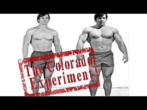 The Colorado Experiment - How Casey Viator Gained 63 Pounds of Muscle in 28 Days