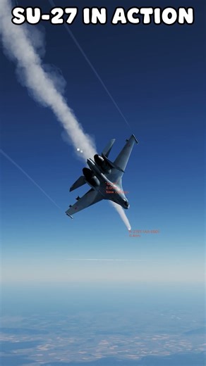 Su-27 Fires R-27ET — Epic Missile Shot!