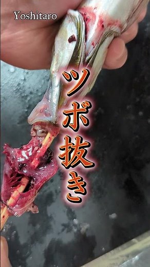 プロも箸が止まらない！【アジの姿焼き】ツボ抜き＆踊り串でウキウキ炭焼たまら～ん♪ #shorts #japan #mackerel