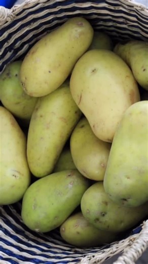 Green potato 🥔 Why potatoes turn green • Exposure to light (sun or store light) • Chlorophyll forms → potato turns green • With greening, a toxin called solanine increases Is it safe? • ❌ Green potatoes are not safe to eat • Solanine can cause stomach pain, nausea, vomiting, headache What to do • If slightly green → cut off green parts thick peel • If very green, bitter, or sprouting → throw it away How to prevent • Store potatoes in a dark, cool place • Keep away from sunlight • Don’t store ne