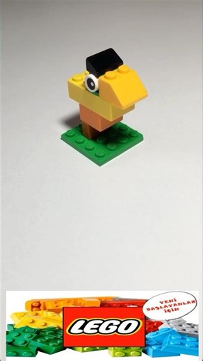 Building a Little Parrot with LEGO Classic 10698 | Zehra Nur Okan #Shorts