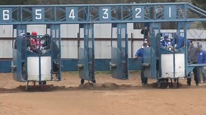 AGUILA CUADRA COBRA vs FERRARI CUADRA JM/HJ | Sincheros VIP