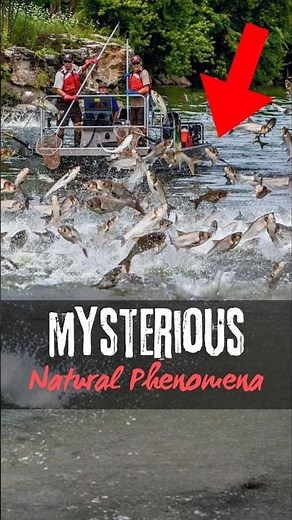 Top 3 Weirdest Natural Phenomena Ever Recorded