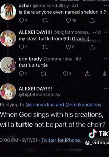 Talking Turtle ASMR: Sheldon’s Wisdom and Vibes