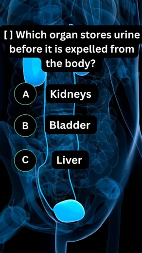 General science quiz, Trivia Quizz, Science Trivia Quizz