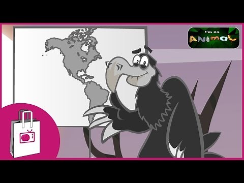 I'm an Animal - I'm a Vulture