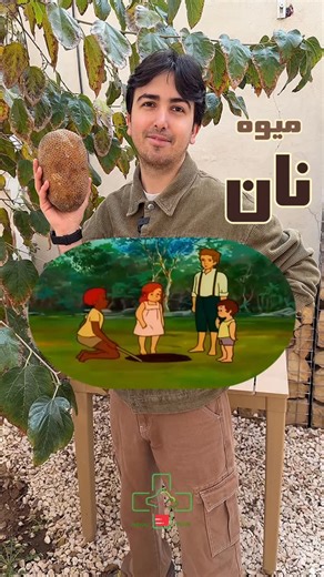 ‎نهال پلاس🌱➕نهال میوه های کمیاب‎ on Instagram‎: "میوه ی 7 میلیون تومنی نان،میخوایی گلم؟😬 این میوه سبز و کال از سریلانکا رسید دستمون،گذاشتیم برسه که تازه شو بخوریم،هر چی وایستادیم کامل نرسید،دیگه گفتیم تا دیر نشده کبابیش کنیم🔥😋 درخت میوه نان تا 30 متر رشد میکنه و برگای پهن و براقِ زیبایی داره🌳 بومی جنوب شرق آسیا و جزایر اقیانوس آرامه‌ و مناسب مناطق معتدل تا گرمسیره🌦️🏝️ اگه یه روزی تو یه جزیره گم شدید،حتما از این میوه استفاده کنید🫡👨🏻‍🌾🥖🪴 #میوه_نان #نهال_کمیاب"‎