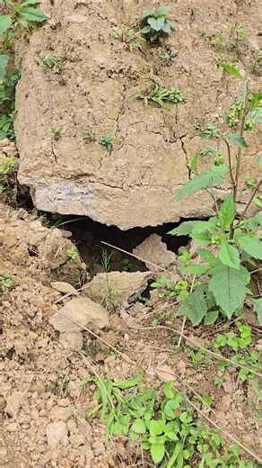 Đánh giá phiên bản V3.10 Deus XTREM ổn định