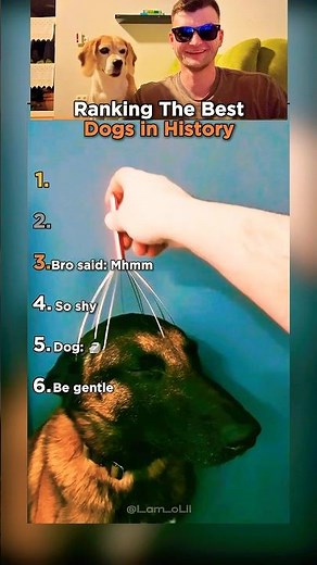 Ranking the Best Dogs in History!