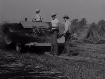 a/v geeks 16mm films: hemp for victory: american hemp harvesting & rope making (1942)