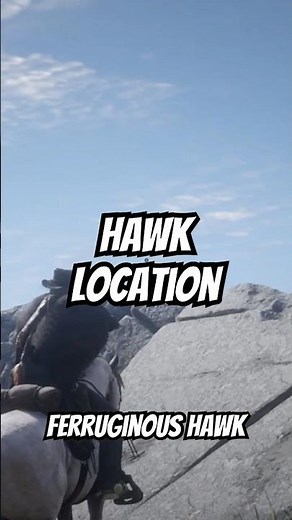 Hawk location #rdr2