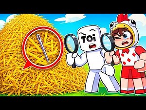 YOU found a NEEDLE in a HAYSTACK!