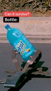 1.6M views · 7K reactions | What can survive a bear trap? 樂 #slowmotion #satisfying | Legendary Shots | Facebook