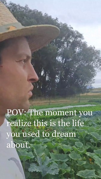 From Dream to Reality – A Thriving Vegetable Field After 10 Years!