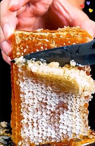 Interesting video about honey 👀 🤤 😉 | David Benoit