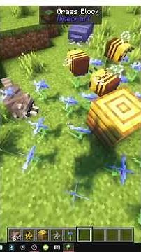 HOW TO TAME RACCOONS and Fur in MINECRAFT - Tameable Beasts