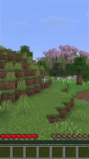 If I run into a rock, the video stops!! (Claqué 64 Challenges) #minecraft