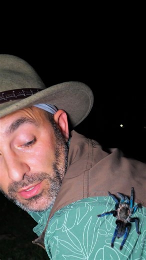 Brave Wilderness on Instagram: "@coyotepeterson : “Only I would do something this dumb.” … Correct. And then he wants to go catch a big spider 藍 Oh Coyote… You do not want to miss this new episode: Tomorrow. 10/18/25. 9:00 AM EST."